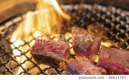 Grilled meat image Charcoal-grilled BBQ Grilled meat Net-grilled ribs Marbled beef Beef meat Calories 86613787