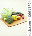 各種蔬菜 86613794