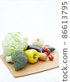 各種蔬菜 86613795