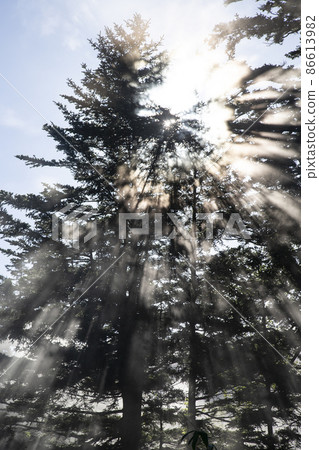 Light beam Light beam 86613982