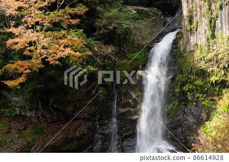 [Shizuoka Prefecture] Kawazu Nanataki Otaki 86614928