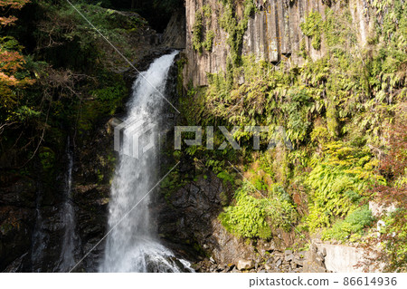 [Shizuoka Prefecture] Kawazu Nanataki Otaki 86614936
