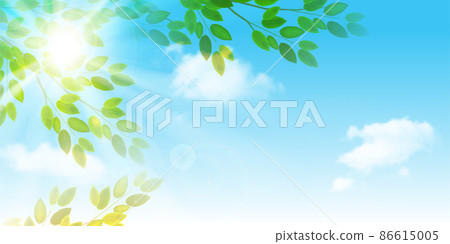 New green leaves landscape background New green leaves landscape background 86615005