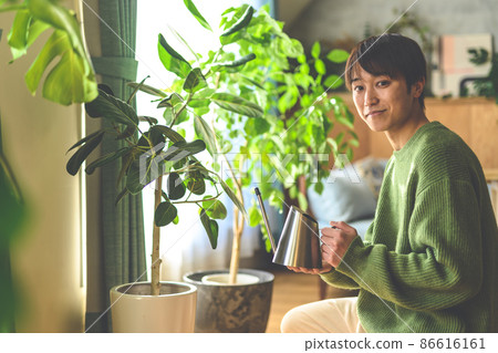 室內盆栽 觀葉植物 植物 86616161