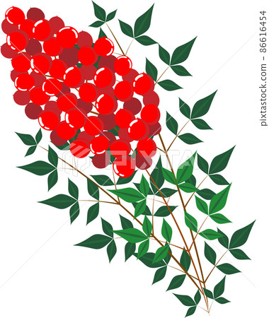 南方天空的插圖與深綠色葉子的紅色水果 南方天空的插圖與深綠色葉子的紅色水果 86616454