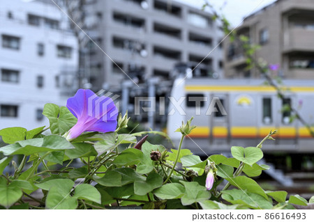 Electric line Electric line 86616493