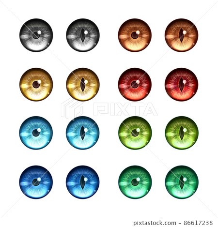 Eye 8色套裝 Eye 8色套裝 86617238