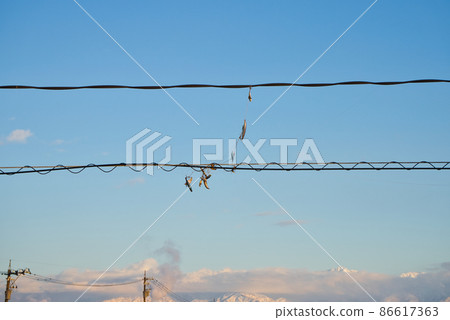 Lures and gimmicks caught on electric wires Lures and gimmicks caught on electric wires 86617363