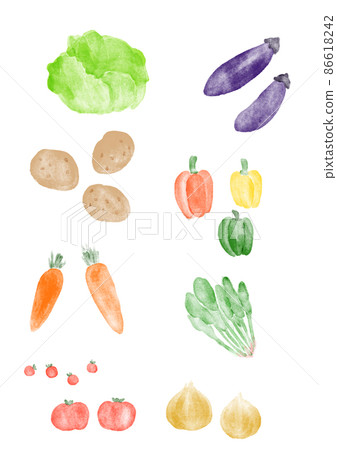Set of regular vegetables Set of regular vegetables 86618242