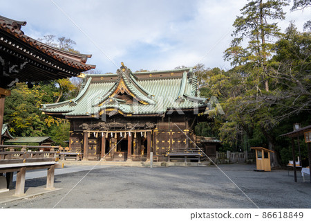 [Shizuoka Prefecture] Mishima Taisha Shrine 86618849