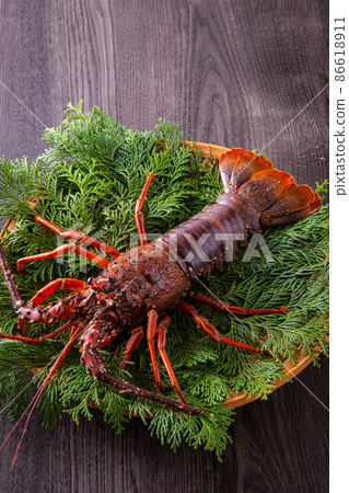 Shrimp Ise Shrimp Ise 86618911