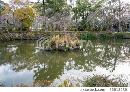 [Shizuoka Prefecture] Mishima Taisha Shrine 86618986