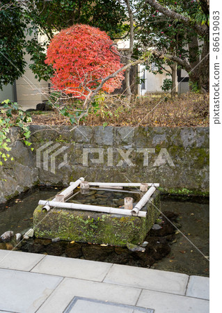 [靜岡縣] 三島大社 86619083