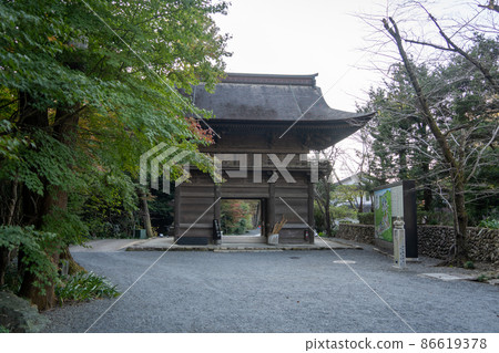 [Shizuoka Prefecture] Hattasan Sonei-ji Temple 86619378