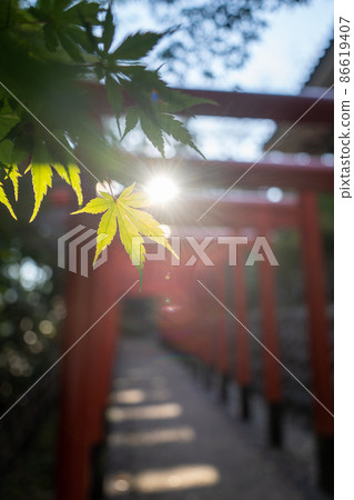 [靜岡縣]八田山曾榮寺 86619407
