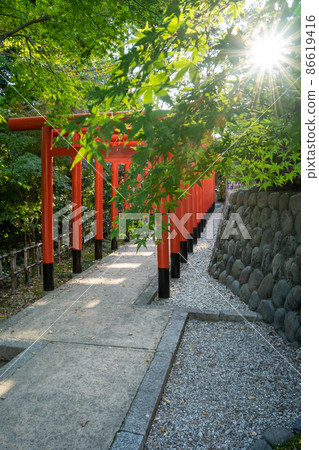 [靜岡縣]八田山曾榮寺 86619416