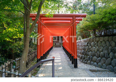 [靜岡縣]八田山曾榮寺 86619420
