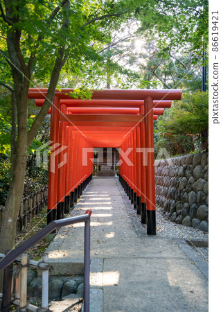 [Shizuoka Prefecture] Hattasan Sonei-ji Temple 86619421
