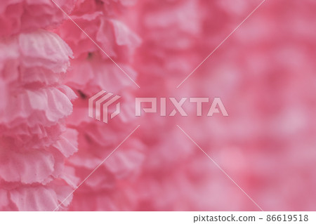Selective focus Beautiful Pink flowers background . abstract soft sweet pink flower background .Beautiful pink roses flower blossom flower background design floral . valentine's day backgroud Selective focus Beautiful Pink flowers background . abstract soft sweet pink flower background .Beautiful pink roses flower blossom flower background design floral . valentine's day backgroud 86619518