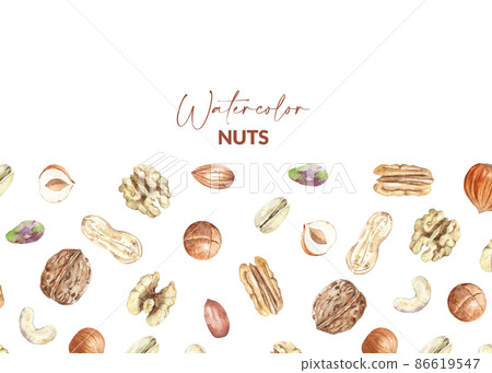 Border design with nuts. Raw pecan, walnut, almond, pistachio, peanut, macadamia, hazelnut and cashew. Hand drawn watercolor illustration of organic food for packaging, label, card. 86619547