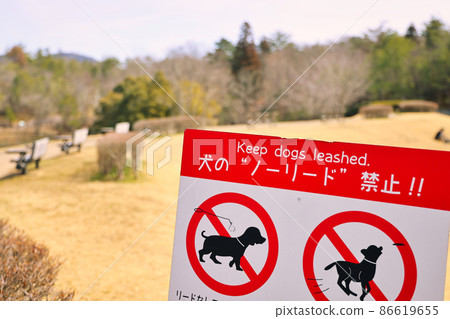 A warning sign for dogs no lead found while walking in Arimafuji Park 86619655