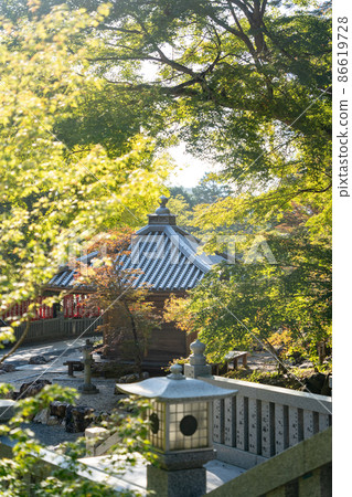 [Shizuoka Prefecture] Hattasan Sonei-ji Temple 86619728