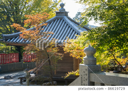 [Shizuoka Prefecture] Hattasan Sonei-ji Temple 86619729