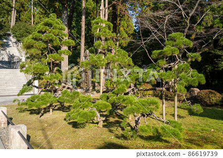 [靜岡縣]八田山曾榮寺 86619739