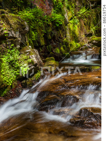 It is the scenery of the water flow along the valley of Oku-Tami Gorge. It is a clear stream flowing through the sliding floor. Shimane Prefecture 86619754