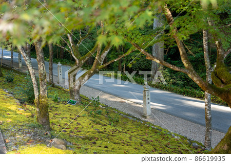 [Shizuoka Prefecture] Hattasan Sonei-ji Temple 86619935