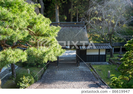 [Shizuoka Prefecture] Hattasan Sonei-ji Temple 86619947