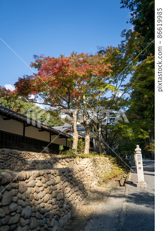 [Shizuoka Prefecture] Hattasan Sonei-ji Temple 86619985