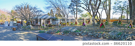 Shiranoe Botanical Garden in Kitakyushu City Winter feature Winter peony of straw fence Shiranoe Botanical Garden in Kitakyushu City Winter feature Winter peony of straw fence 86620110
