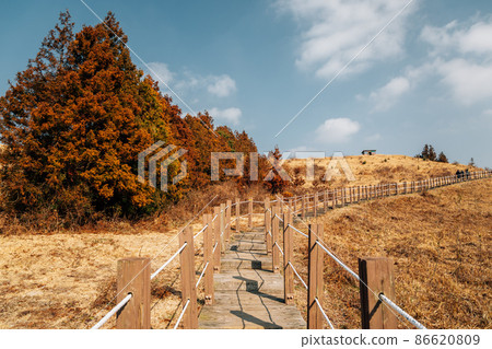 Yeongju Mountain Oreum volcanic cone hiking trail road at winter in Jeju Island, Korea Yeongju Mountain Oreum volcanic cone hiking trail road at winter in Jeju Island, Korea 86620809