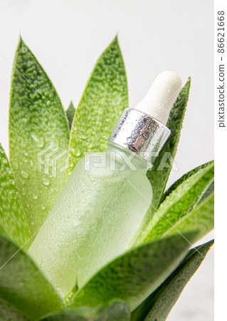 One glass dropper bottle with serum, essential oil or other cosmetic product and green tropical flower, plant, closeup. Natural Organic Spa Cosmetic Beauty concept 86621668