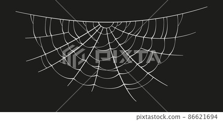 Halloween Spider Web Bannercobweb Background Corner Symbol