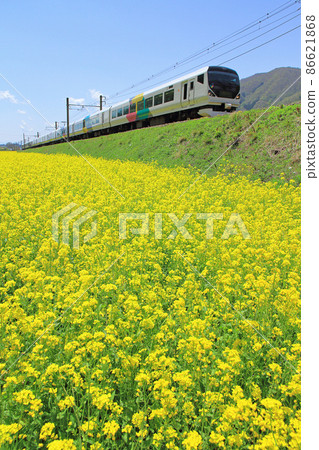 May of Oito Line E257 series limited express Azusa going to the rape field May of Oito Line E257 series limited express Azusa going to the rape field 86621868