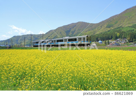 大糸線5月去油菜田的普通列車 86621869