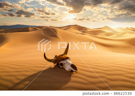 Skull bull in the sand desert at sunset. The concept of death and end of life 86622530