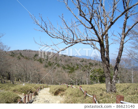 死樹和山景 死樹和山景 86623140