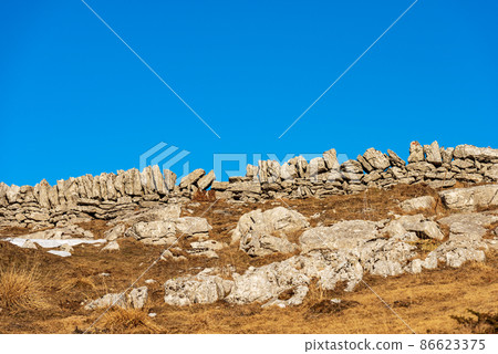 Fence made of Stone Wall for Grazing and Agriculture - Lessinia Plateau Italy Fence made of Stone Wall for Grazing and Agriculture - Lessinia Plateau Italy 86623375