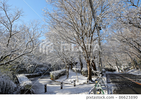 雪景中的湘平平（神奈川縣平塚市） 86623890
