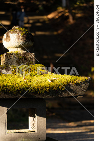 [Nagano Prefecture] Togakushi Shrine Hokkosha 86624054
