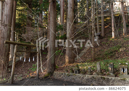 [Nagano Prefecture] Togakushi Shrine Hokkosha 86624075