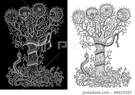 Black and white mystic fantasy tree line art vector illustration with occult and esoteric symbols, alchemy concept Black and white mystic fantasy tree line art vector illustration with occult and esoteric symbols, alchemy concept 86624387
