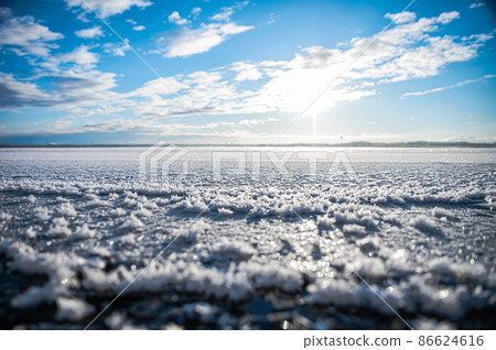 Frosted flower Frosted flower 86624616