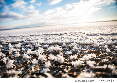 Frosted flower 86624617