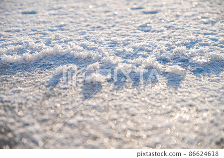 Frosted flower Frosted flower 86624618