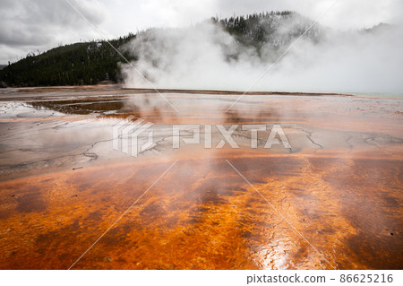Landscape of swam area with natural texture on land surface in Yellowstone. Landscape of swam area with natural texture on land surface in Yellowstone. 86625216
