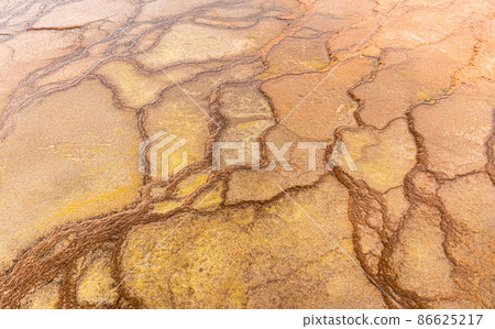 Landscape of swam area with natural texture on land surface in Yellowstone. Landscape of swam area with natural texture on land surface in Yellowstone. 86625217